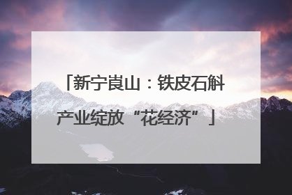 新宁崀山：铁皮石斛产业绽放“花经济”
