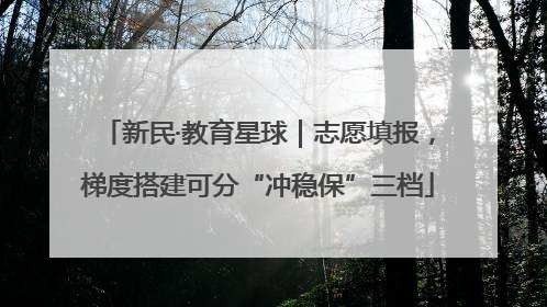 新民·教育星球｜志愿填报，梯度搭建可分“冲稳保”三档