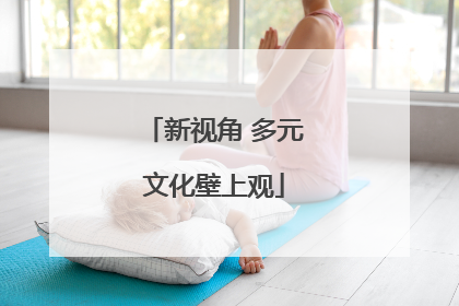 新视角 多元文化壁上观