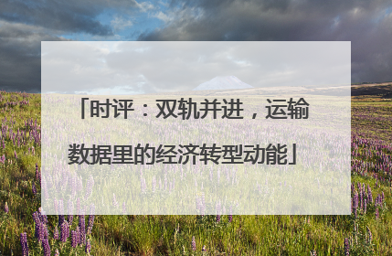 时评：双轨并进，运输数据里的经济转型动能