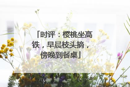 时评：樱桃坐高铁，早晨枝头摘，傍晚到餐桌