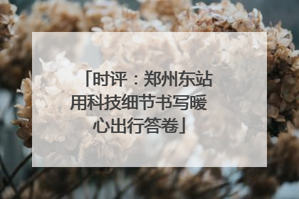 时评：郑州东站用科技细节书写暖心出行答卷