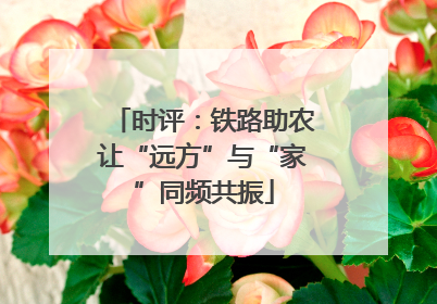 时评：铁路助农让“远方”与“家”同频共振