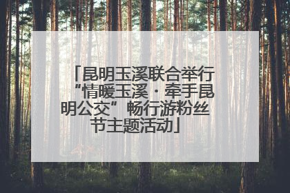 昆明玉溪联合举行“情暖玉溪・牵手昆明公交”畅行游粉丝节主题活动