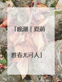 晚潮｜夏荫胜春尤可人