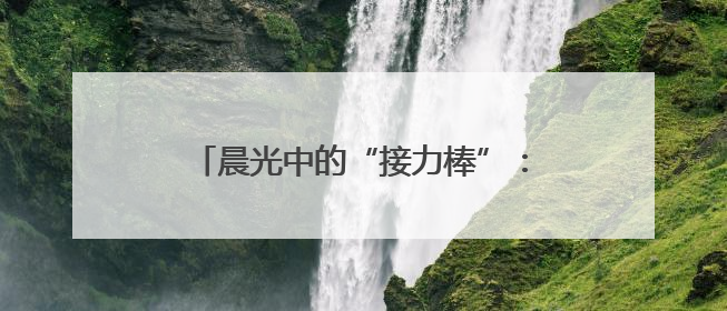 晨光中的“接力棒”：地铁人守护盲友上班路