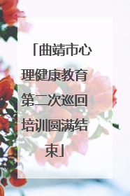 曲靖市心理健康教育第二次巡回培训圆满结束