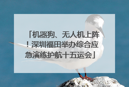 机器狗、无人机上阵！深圳福田举办综合应急演练护航十五运会