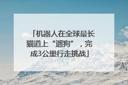 机器人在全球最长猫道上“遛狗”，完成3公里行走挑战