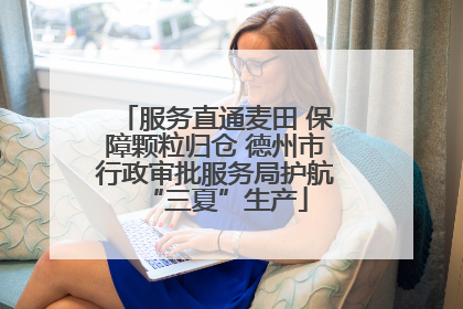 服务直通麦田 保障颗粒归仓 德州市行政审批服务局护航“三夏”生产