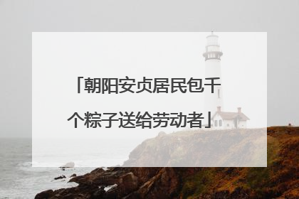朝阳安贞居民包千个粽子送给劳动者