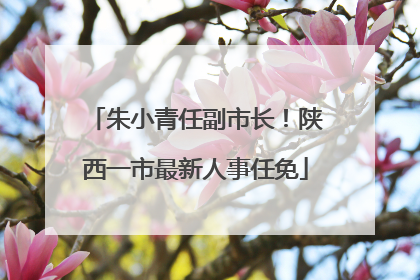 朱小青任副市长！陕西一市最新人事任免
