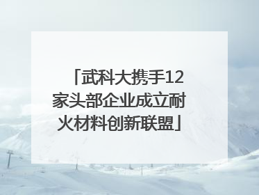 武科大携手12家头部企业成立耐火材料创新联盟