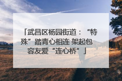 武昌区杨园街道：“特殊”踏青心相连 架起包容友爱“连心桥”