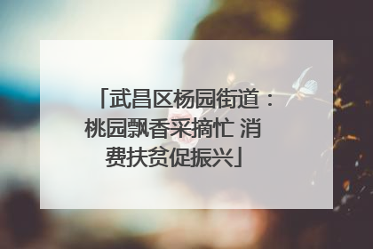 武昌区杨园街道：桃园飘香采摘忙 消费扶贫促振兴