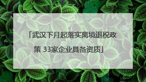 武汉下月起落实离境退税政策 33家企业具备资质