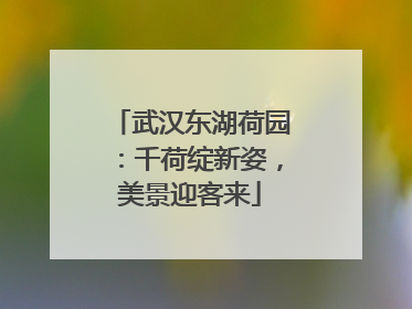 武汉东湖荷园：千荷绽新姿，美景迎客来