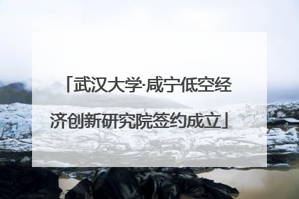 武汉大学·咸宁低空经济创新研究院签约成立