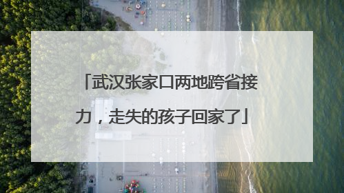 武汉张家口两地跨省接力，走失的孩子回家了