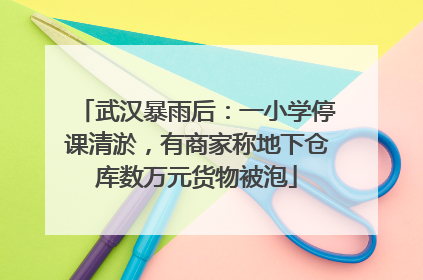武汉暴雨后：一小学停课清淤，有商家称地下仓库数万元货物被泡