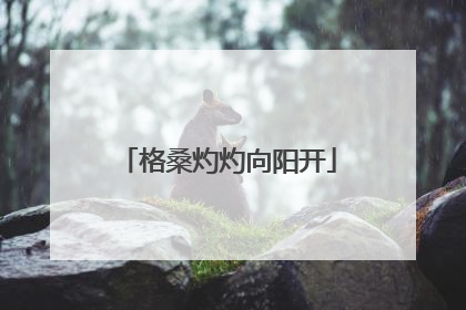 格桑灼灼向阳开