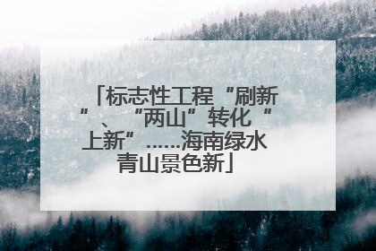 标志性工程“刷新”、“两山”转化“上新”……海南绿水青山景色新
