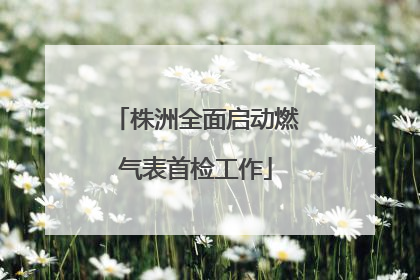 株洲全面启动燃气表首检工作