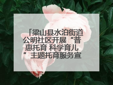 梁山县水泊街道公明社区开展“普惠托育 科学育儿”主题托育服务宣传活动