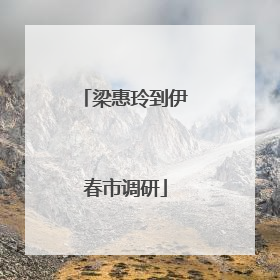 梁惠玲到伊春市调研