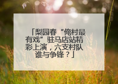 梨园春“俺村最有戏”驻马店站精彩上演，六支村队谁与争锋？