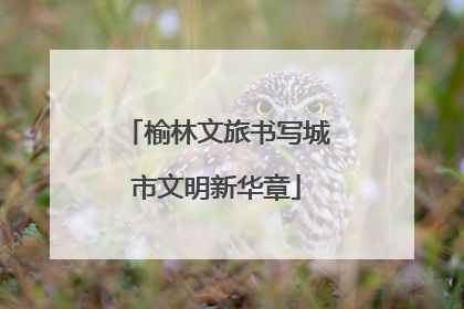 榆林文旅书写城市文明新华章