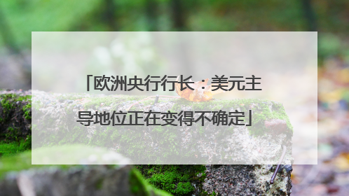 欧洲央行行长：美元主导地位正在变得不确定