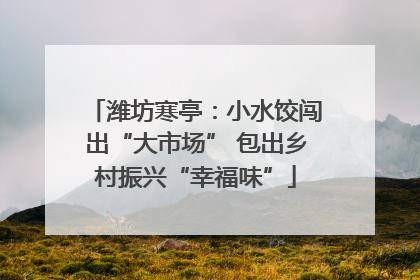 潍坊寒亭：小水饺闯出“大市场” 包出乡村振兴“幸福味”