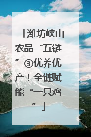 潍坊峡山农品“五链”③优养优产！全链赋能“一只鸡”