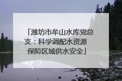 潍坊市牟山水库党总支：科学调配水资源 保障区域供水安全