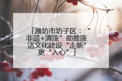 潍坊市坊子区：“非遗+清廉”助推廉洁文化建设“走新”更“入心”