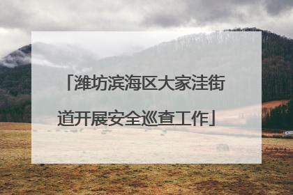 潍坊滨海区大家洼街道开展安全巡查工作