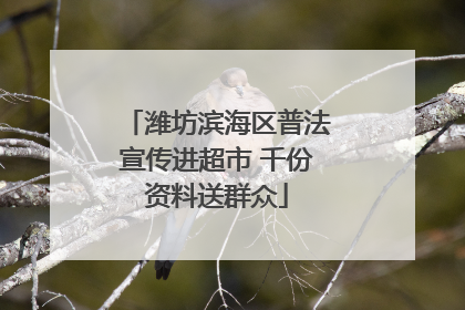 潍坊滨海区普法宣传进超市 千份资料送群众