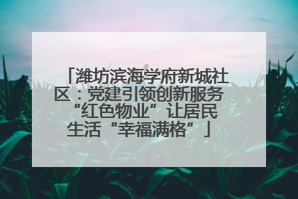 潍坊滨海学府新城社区:党建引领创新服务 “红色物业”让居民生活“幸福满格”