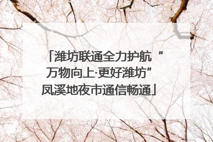 潍坊联通全力护航“万物向上·更好潍坊”凤溪地夜市通信畅通