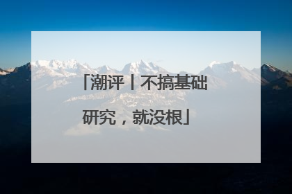 潮评丨不搞基础研究，就没根