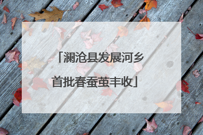 澜沧县发展河乡首批春蚕茧丰收