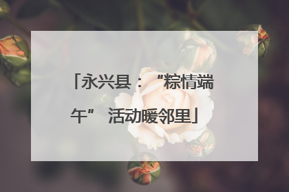 永兴县：“粽情端午” 活动暖邻里
