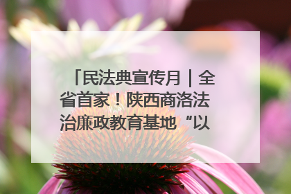 民法典宣传月｜全省首家！陕西商洛法治廉政教育基地“以案说纪”润人心