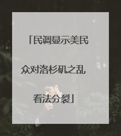 民调显示美民众对洛杉矶之乱看法分裂