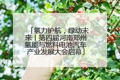 氢力护航，绿动未来丨第四届河南郑州氢能与燃料电池汽车产业发展大会启幕