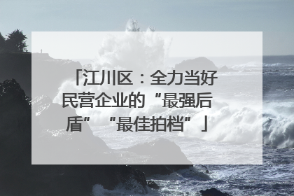 江川区：全力当好民营企业的“最强后盾”“最佳拍档”