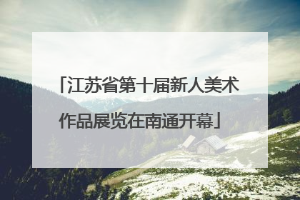江苏省第十届新人美术作品展览在南通开幕