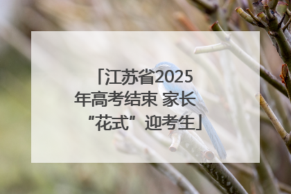 江苏省2025年高考结束 家长“花式”迎考生
