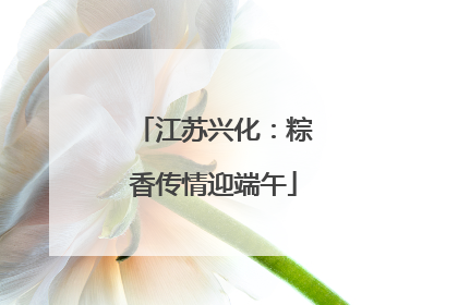 江苏兴化：粽香传情迎端午